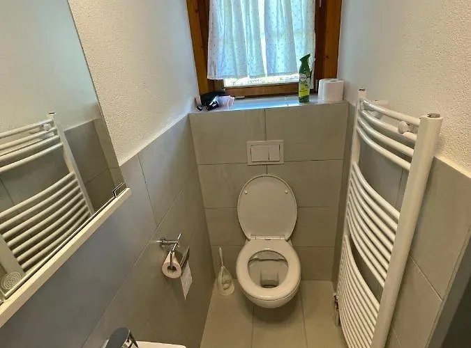 Balm Guest house Meiringen