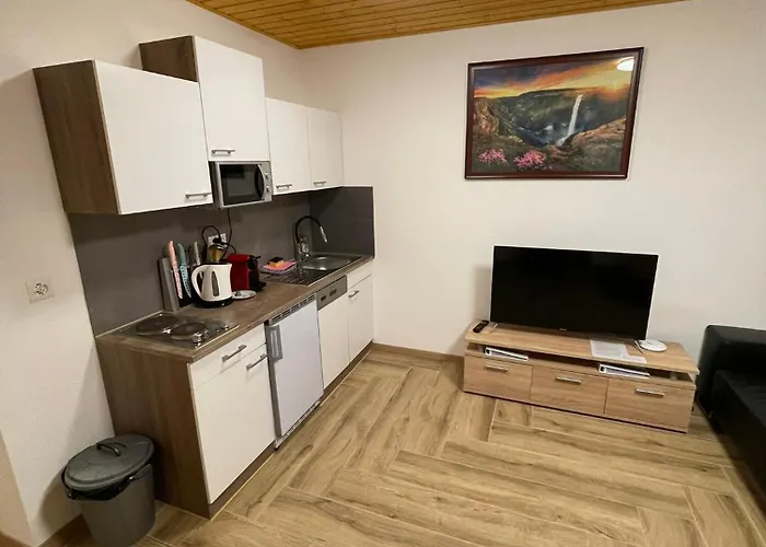 Balm Guest house Meiringen