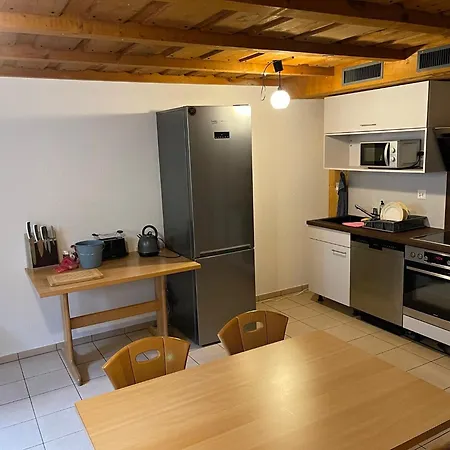 招待所 Balm 迈林根